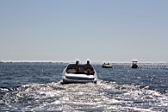 IMG_2705.JPG