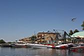 IMG_2747.JPG