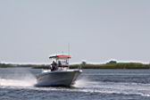 IMG_2785.JPG