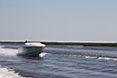 IMG_2805.JPG