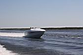 IMG_2806.JPG