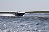 IMG_2823.JPG