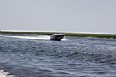 IMG_2829.JPG